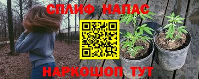 ПСИЛОЦИБИНОВЫЕ ГРИБЫ Пугачёв