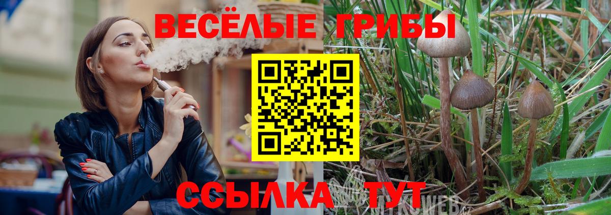 Саяногорск  Галлюциногенные грибы Psilocybe  Вход с VPN 