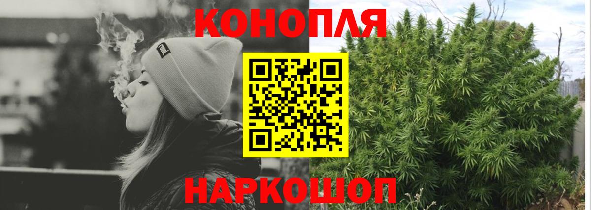 Конопля сатива Саяногорск